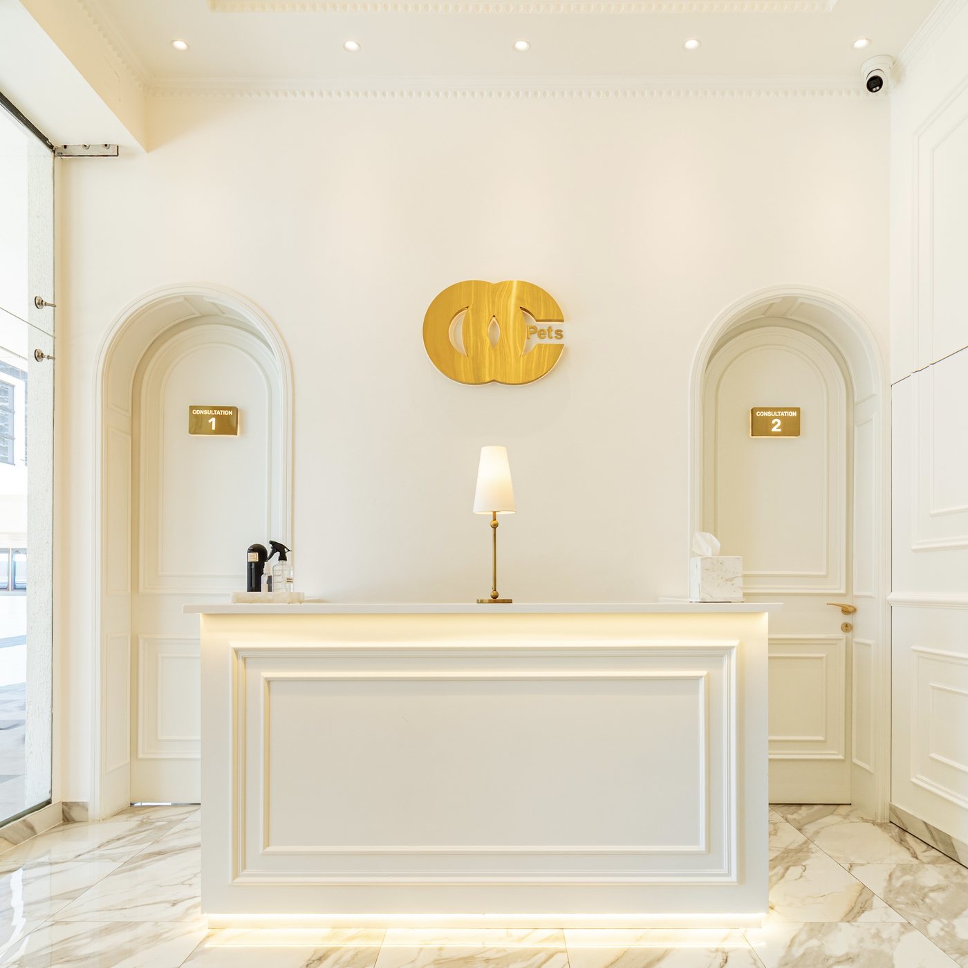 OC Pets Veterinary Clinic reception in Business Bay, Dubai